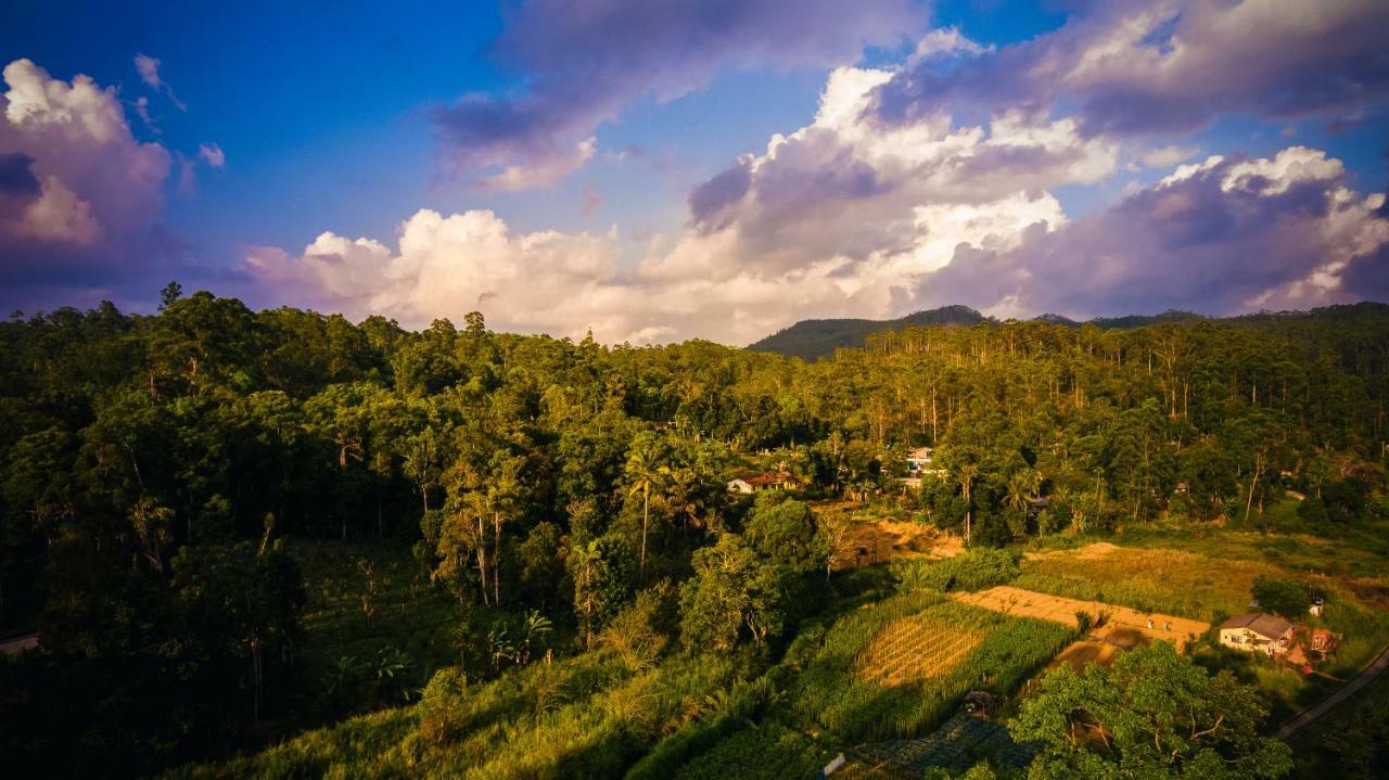 Ella Breeze Homestay ภายนอก รูปภาพ